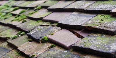 Ledburn roof repair costs
